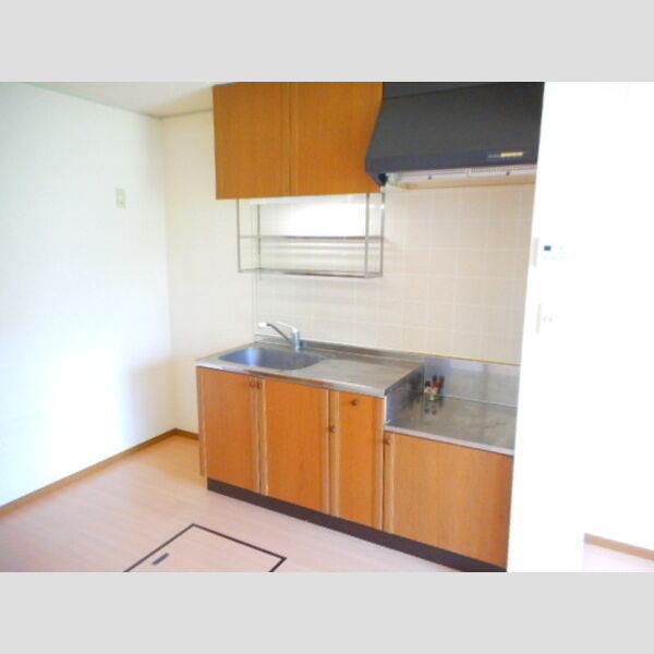 アベニュー102号室 キッチン