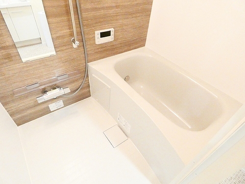 ルミケオ大手町 浴室