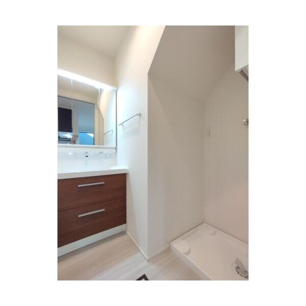 市川市大洲3丁目戸建貸家A号室 洗面