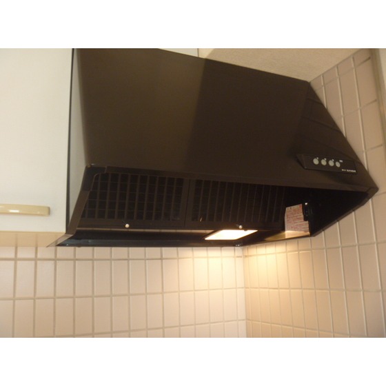 リヴェール睦　白山0501号室 レンジフード