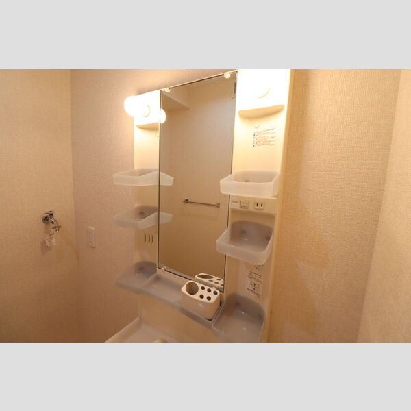 ディライトヒルズ102号室 洗面所