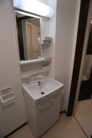 ベイルーム釜利谷204号室 洗面