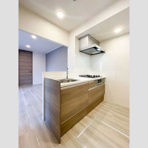 セレスティア江戸川Ⅲ101号室 キッチン