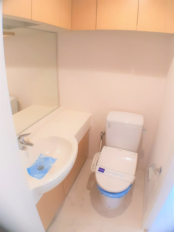 レジディア市ヶ谷 洗面