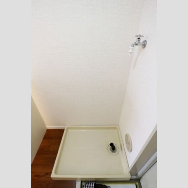 グリーンプラザ　A107号室 室内洗濯機置場