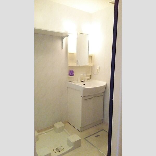 ロイヤルクレッセント西登戸参番館 洗面