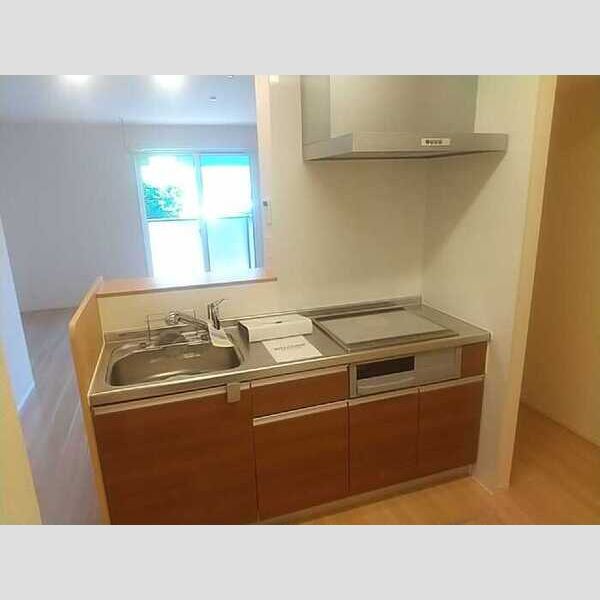 ダイヤモンド ミスト102号室 キッチン