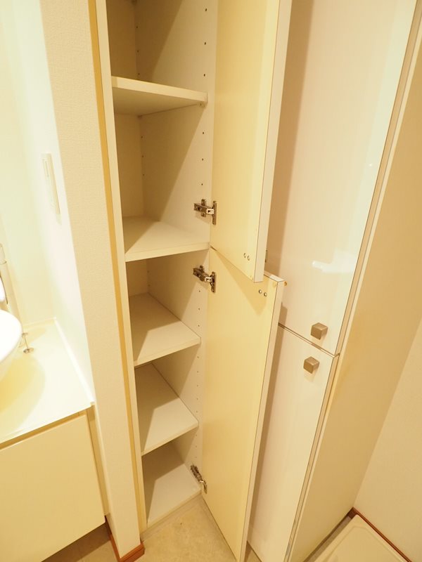 レジディア池袋2階 収納