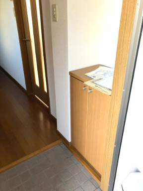 エクセルハイツⅢ番館201号室 クリーニング前の写真です