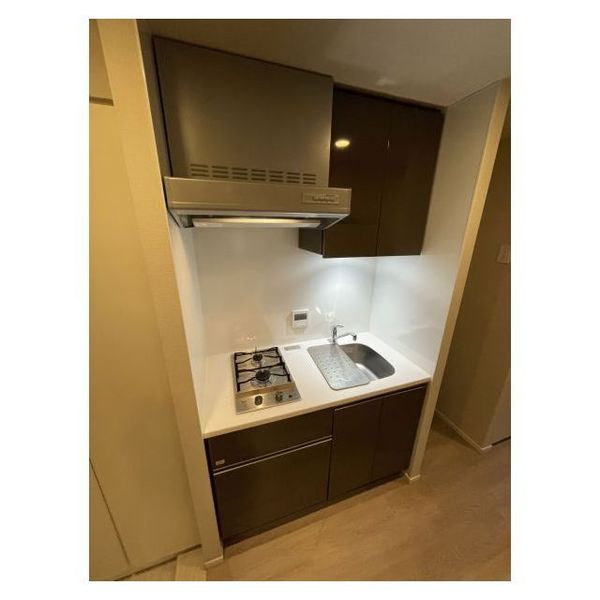 クレストコート白金高輪0307号室 部屋その他