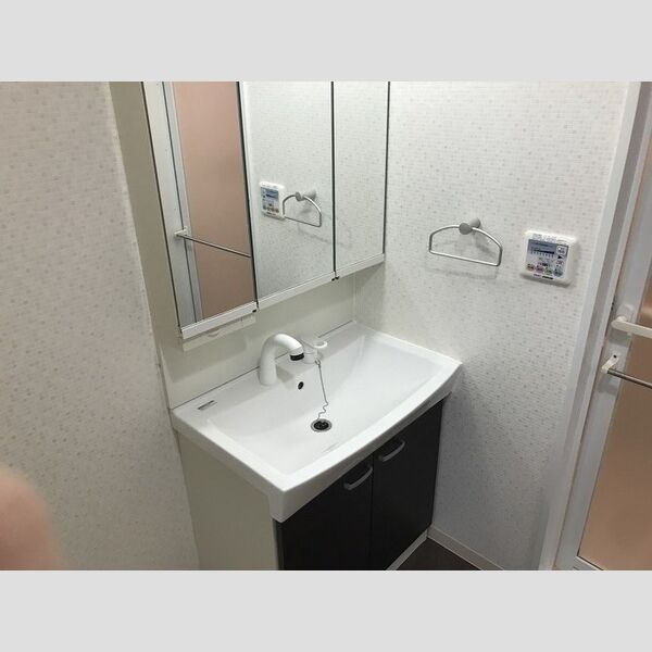 アビティ砧211号室 洗面所