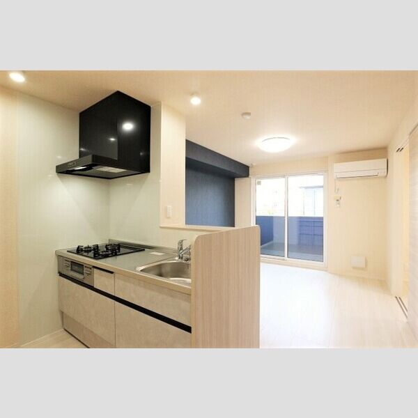 Dear Life202号室 システムキッチン