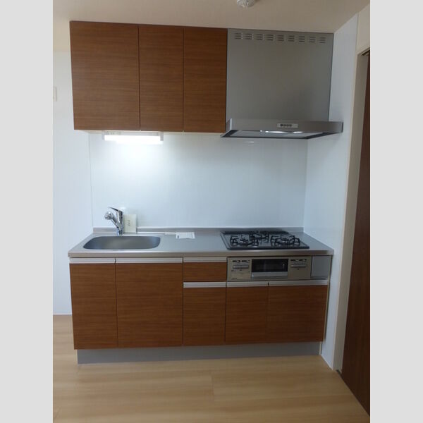 フラッシングメドウ狭山206号室 システムキッチン