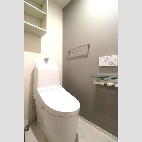 セレスティア小豆沢102号室 トイレ