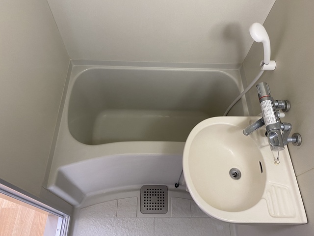 カーサ南原0202号室 洗面