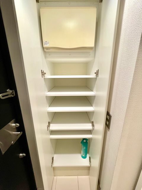 レジディア渋谷10階 収納