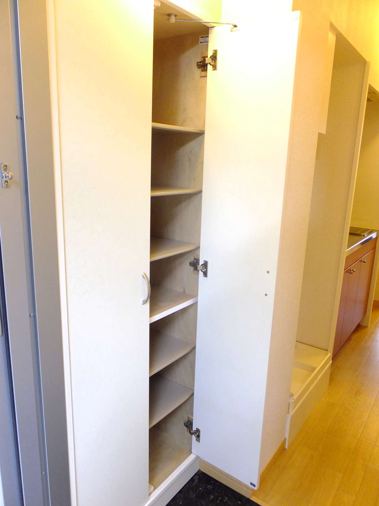 レオパレスリョーヒーナ シューズボックス