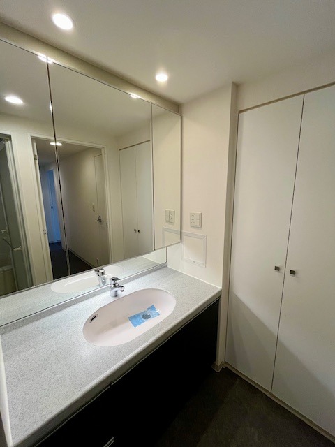 レジディア中落合B棟7階 洗面