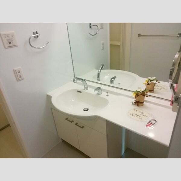 ロイヤルコート　B106号室 洗髪洗面化粧台
