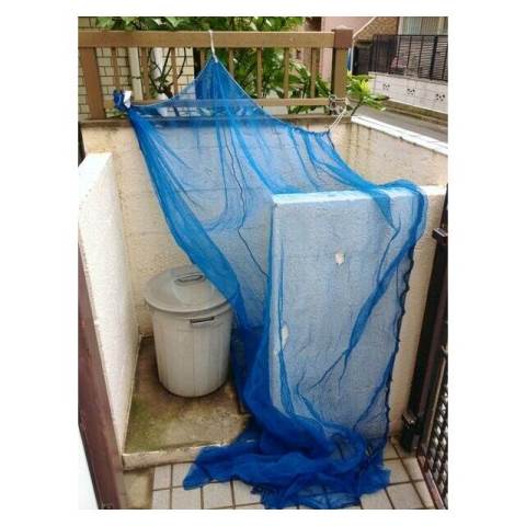 カオパレス82階 部屋その他