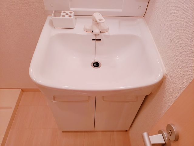 ＬＭフラット0202号室 洗面