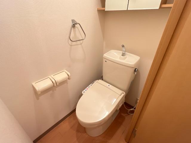 ルミナスハイム106号室 シャワー付トイレ