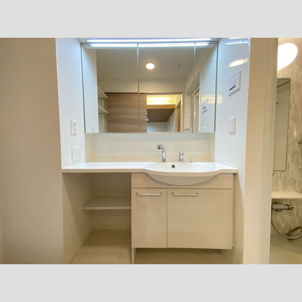 セレスティア北烏山 207号室洗面所