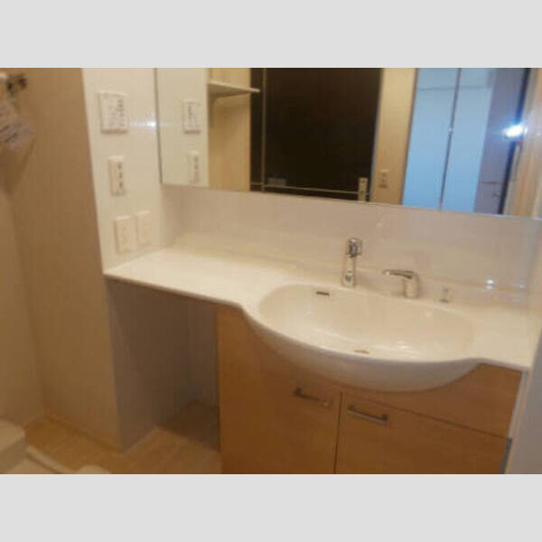 ウェスト・アンソレイユ203号室 203 洗面台