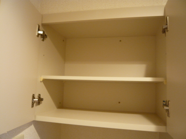 レルシア光が丘公園0103号室 収納