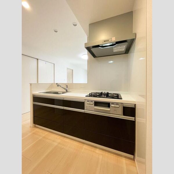 S-RESIDENCE富士見ヶ丘afford102号室 キッチン