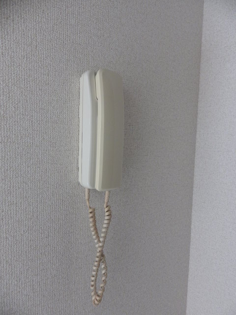 ハイツブルースカイ0202号室 セキュリティ