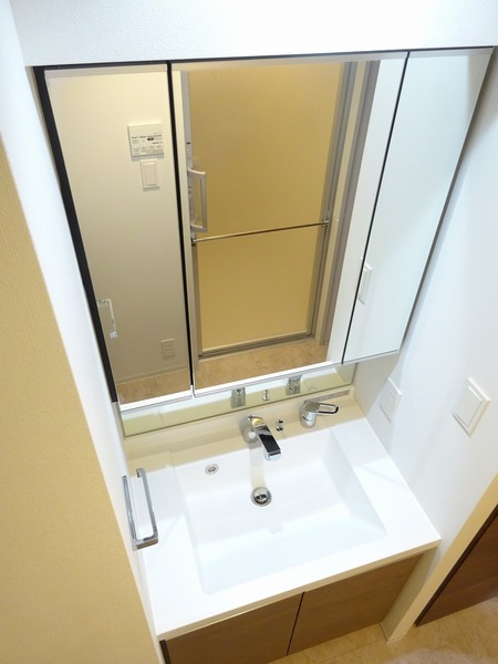 ラフィスタ蒲田南Ⅱ202号室 洗面