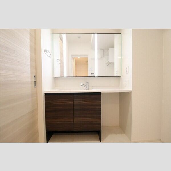 D-PRECIOUS武蔵野301号室 洗髪洗面化粧台
