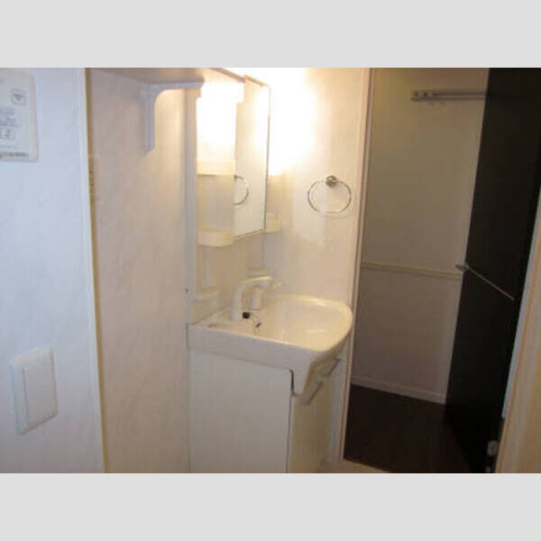 フェザント　A101号室 洗髪洗面化粧台101