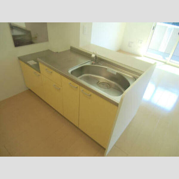 スプリングフォレスト　B205号室 B205(キッチン)