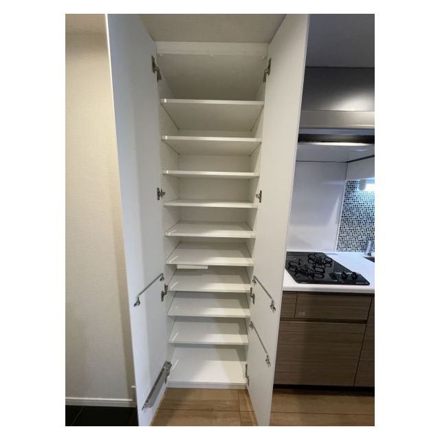 ルクレ高円寺アジールコート0406号室 収納　シューズボックス内部