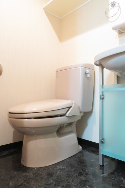 グランド・ガーラ南麻布 トイレ