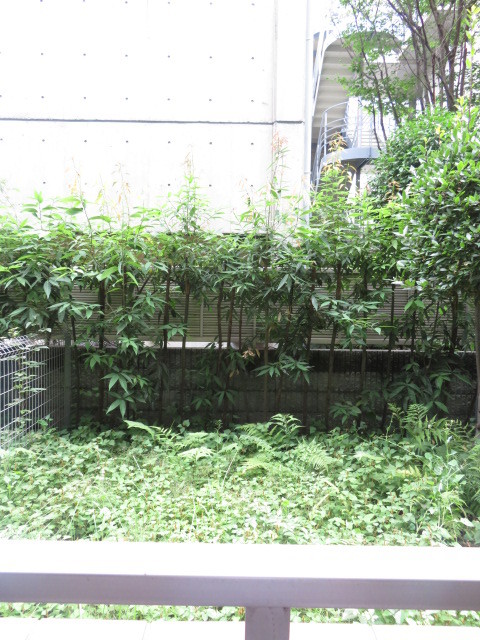 ガーラ渋谷常磐松1階 展望