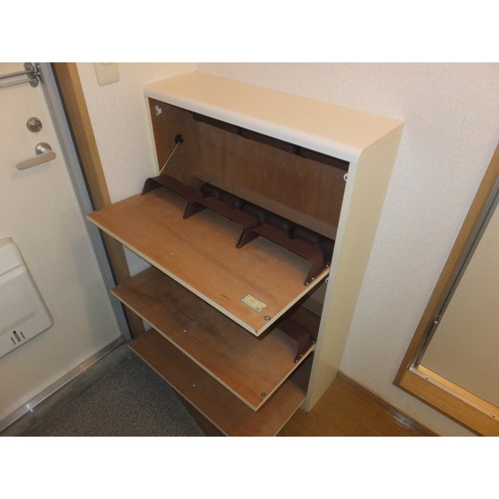 カーサグリスメイユー0204号室 下駄箱