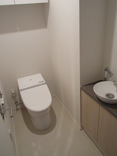 ザ・パークハウス晴海タワーズクロノレジデンス9階 トイレ　※2018年5月撮影