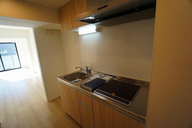 ・ラヴィエール錦糸公園4階 同建物別部屋の参考画像