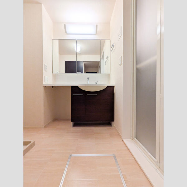 グレイスコート202号室 洗面