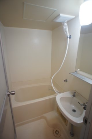 大野ハイツ0203号室 洗面