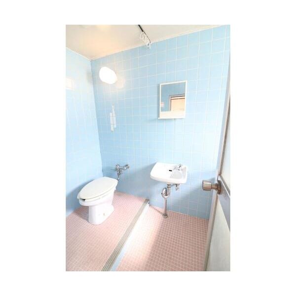 桜ヶ丘ハイム101号室 洗面