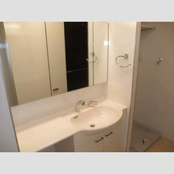 プレジャー102号室 洗面化粧台