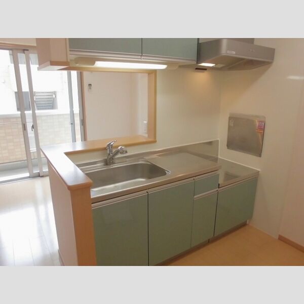 ハーモニアス瑞江　Ⅱ202号室 キッチン