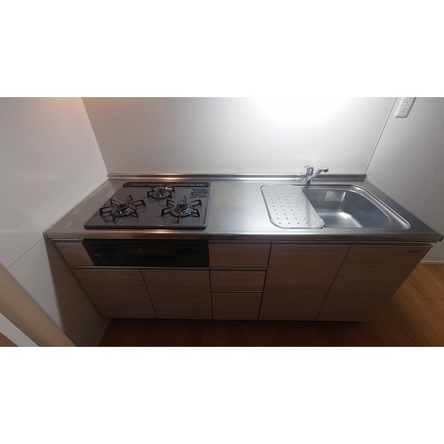 アムス山王（旧ガーデンフラッツ山王）0301号室 同建物別部屋の参考画像