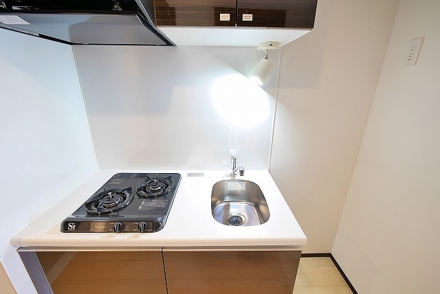 ジェノヴィア川崎駅グリーンヴェール 内観