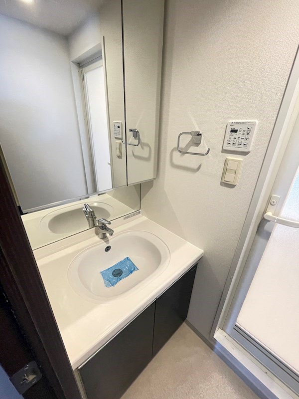 レジディア月島Ⅲ12階 洗面