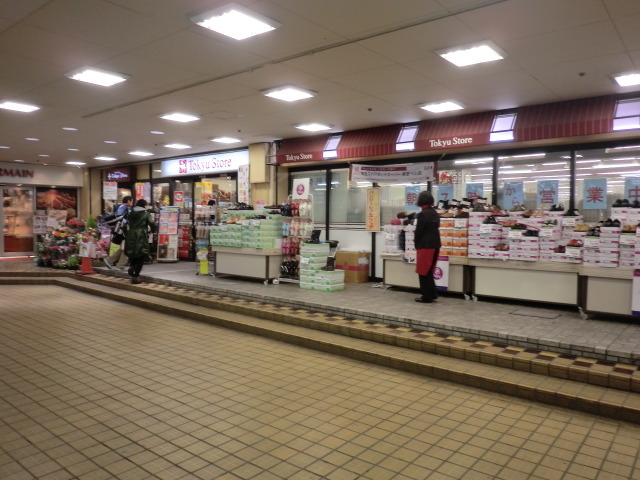 ルシオン0302号室 菊名東急ストア